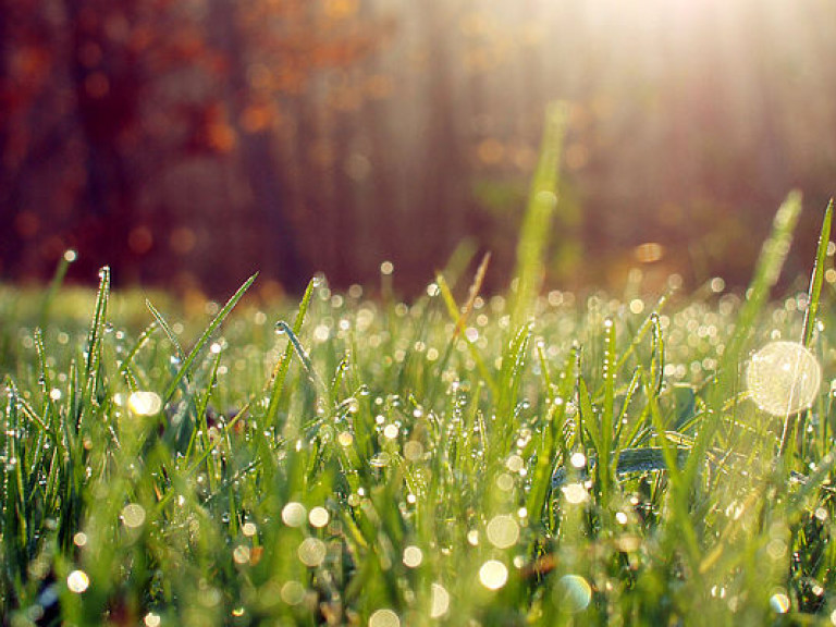 Синоптик: Циклон из Польши испортит погоду 14 мая (КАРТА)