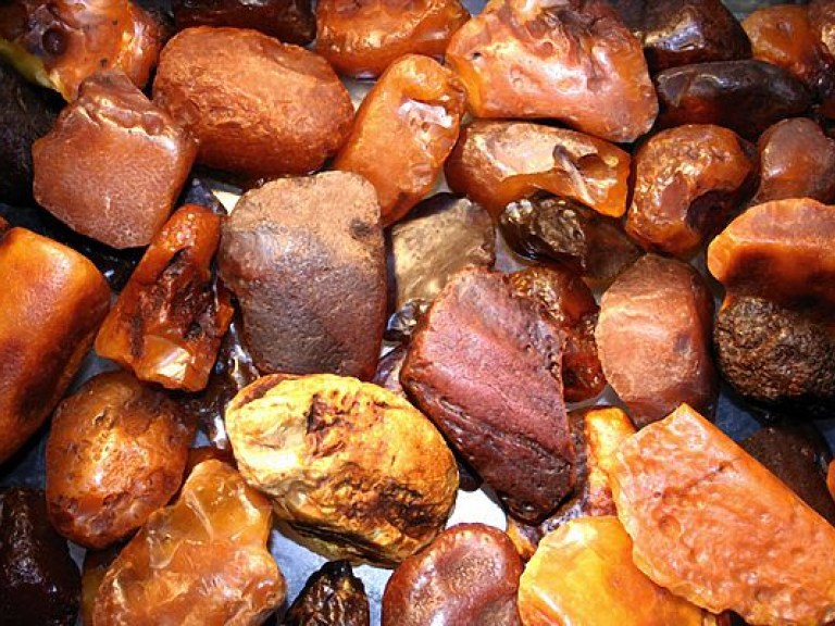 В Ровенской области пограничники нашли новые места незаконной добычи янтаря (ВИДЕО)