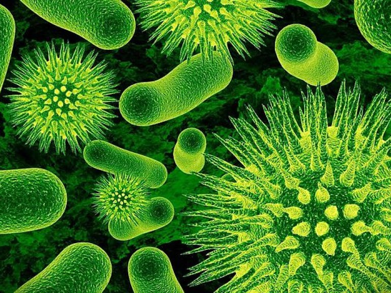 От супербактерий в 2050-ом будет погибать 10 млн человек каждый год