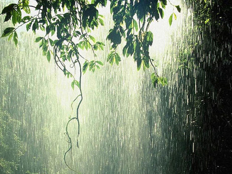 Синоптик: 1 июня в Украине немного похолодает