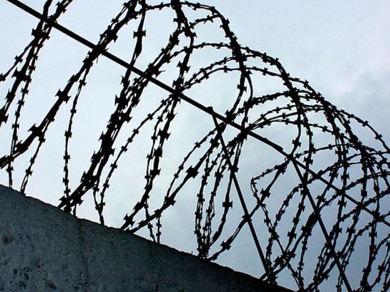 Законом Савченко воспользовались около шести тысяч человек- Минюст