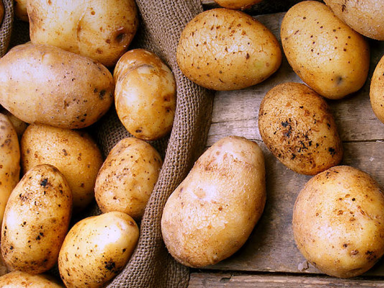 Перед экзаменом ешьте крахмальные продукты – врач