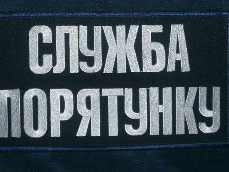 На Грибовицкой свалке продолжились поисковые работы пропавшего эколога