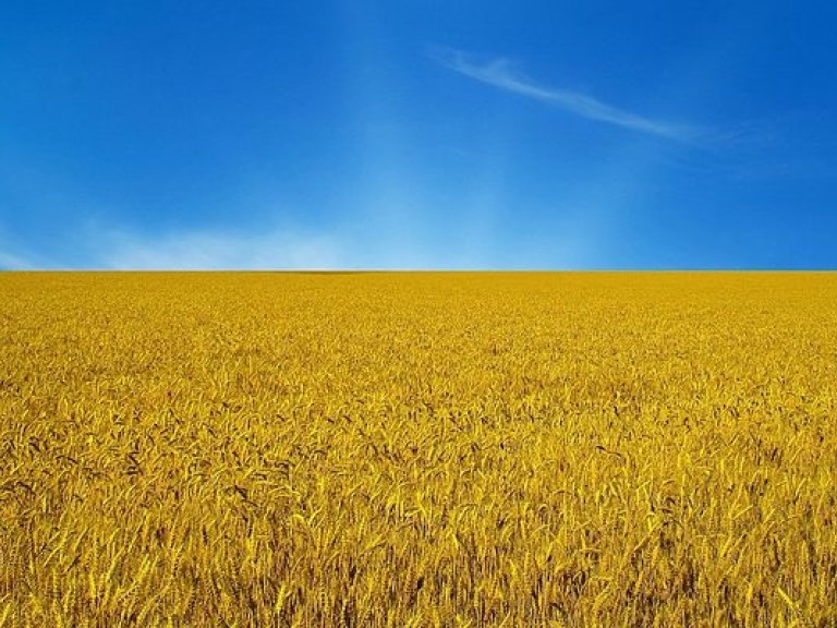 Сельхозпродукция в Украине подорожает не более чем на 10% до конца года – экономист