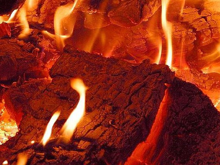 Причиной возгорания свалки в Николаевской области стало неаккуратное обращение с огнем &#8212; ГСЧС
