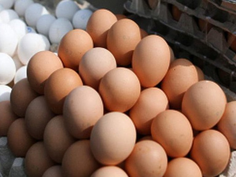 Сохранить куриные яйца в жару помогут  уксус или растительное масло &#8212; врач