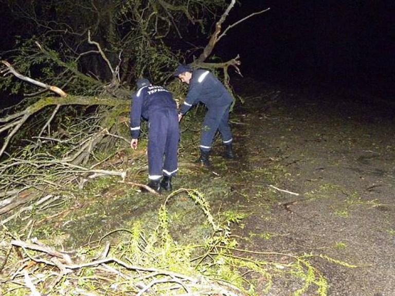 В Полтавской области в результате сильного дождя подтоплены 160 домов – ГСЧС (ВИДЕО)