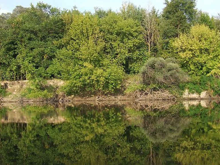 В Луцке в реке обнаружили тела мужчины и женщины – полиция