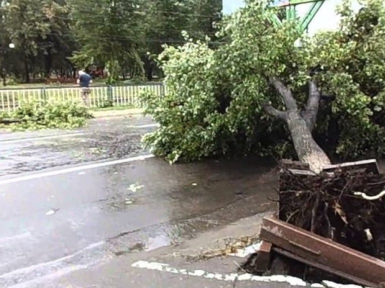 В Луганской области ураган разрушил палаточный городок переселенцев (ФОТО)