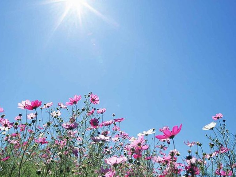 Синоптик: на крайнем западе Украины начнется похолодание