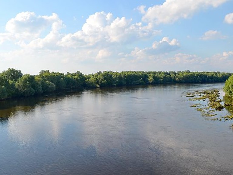 На реке Остер экологическая катастрофа, рыбу на киевских рынках лучше не покупать &#8212; активист (ВИДЕО)