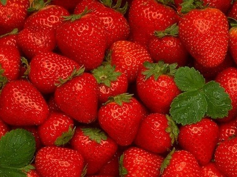 Эксперт: Украина не производит ягоды на экспорт