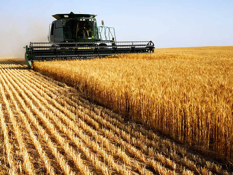 К 8 июля в Украине намолотили 4,5 миллиона тонн ранних зерновых и зернобобовых