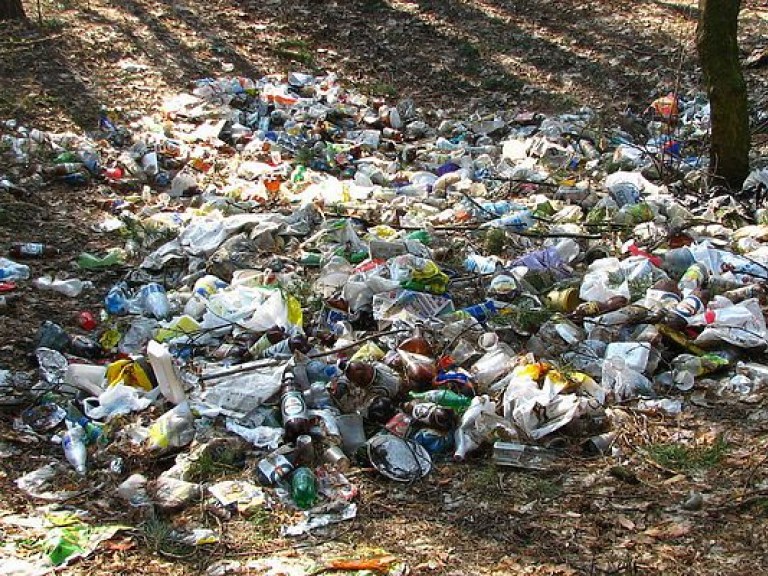 Эколог: В Украине перерабатывается до 5% мусора, в Европе – до половины всех отходов