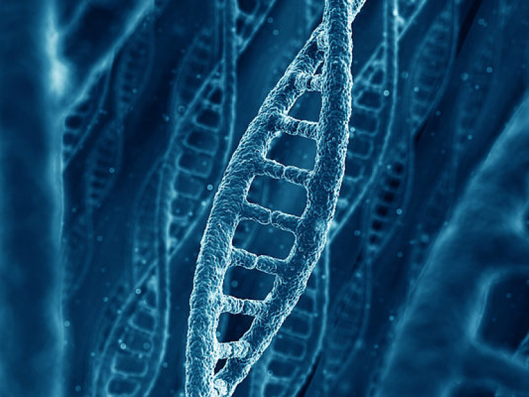Американские ученые записали в ДНК рекордное количество информации