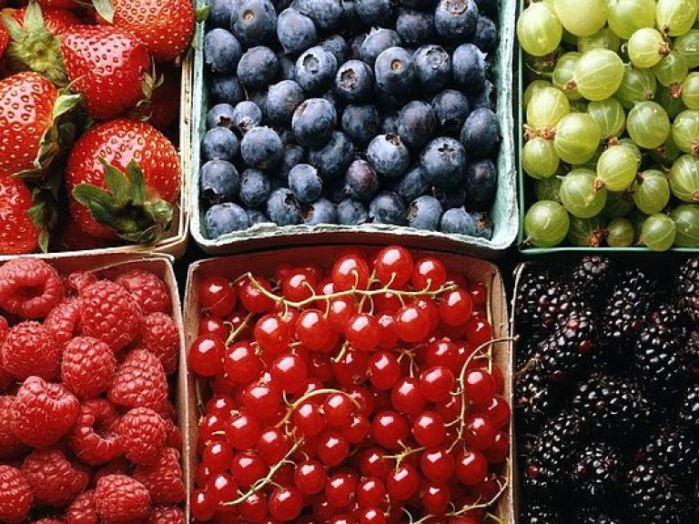 Эксперт рассказала, почему российский рынок для продажи ягод украинских производителей останется закрытым