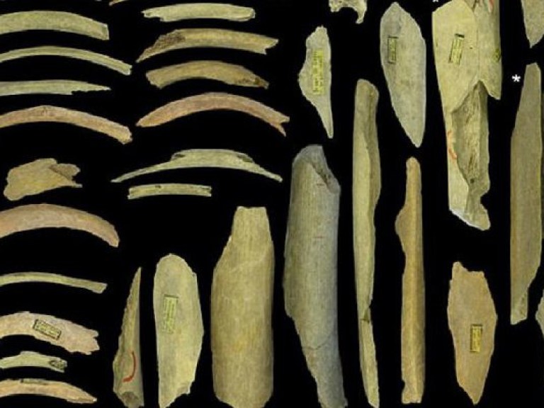 Североевропейские неандертальцы были каннибалами — ученые (ФОТО)