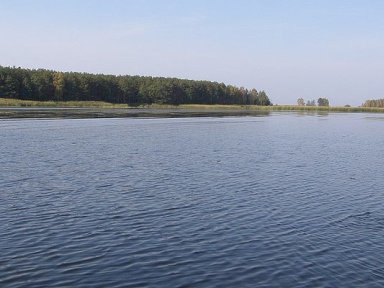 В Киевском море начала массово гибнуть рыба