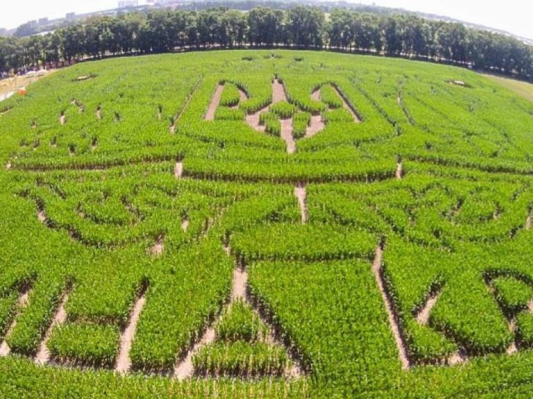 На Киевщине появился огромный кукурузный лабиринт (ФОТО, ВИДЕО)