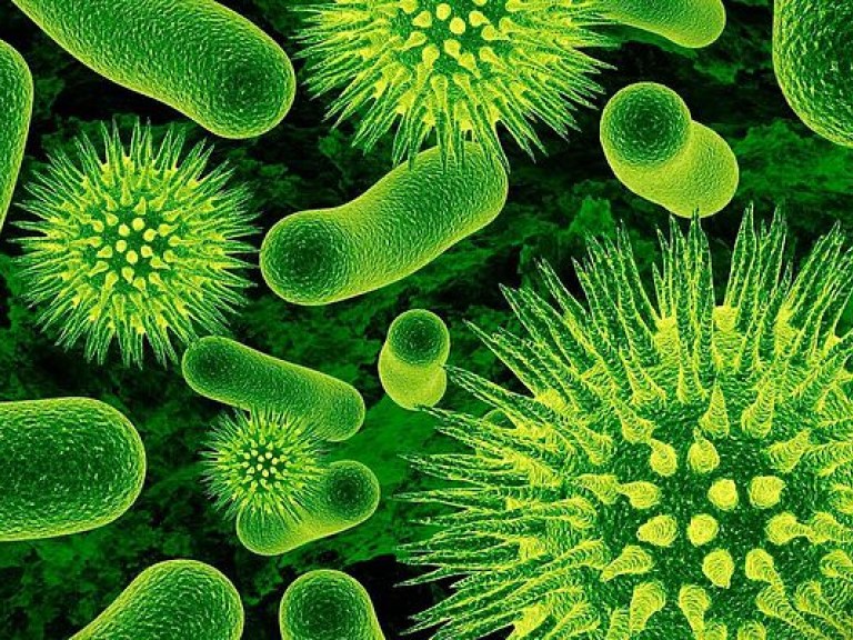 Микробы управляют  поведением человека – ученые