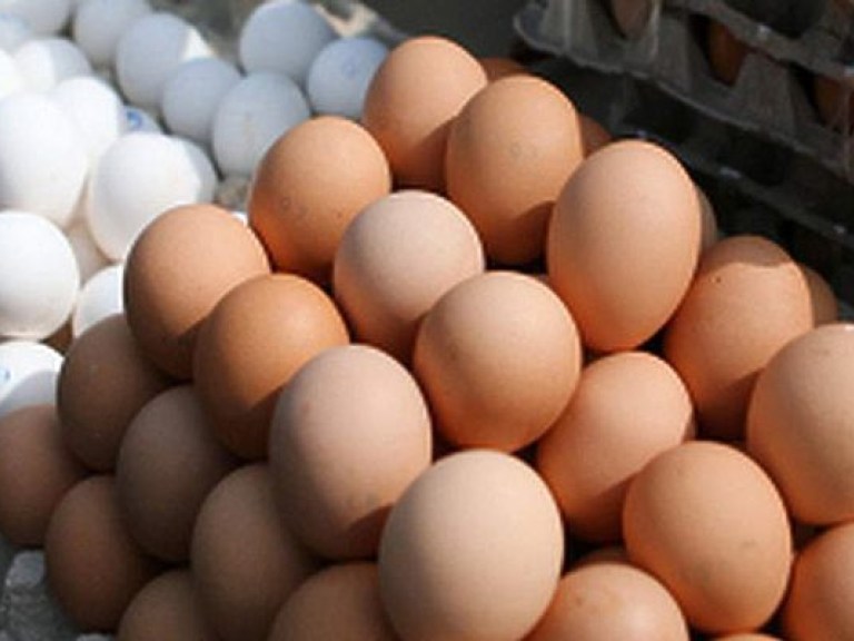 За полгода в Украине сократилось производство яиц на 13,8%