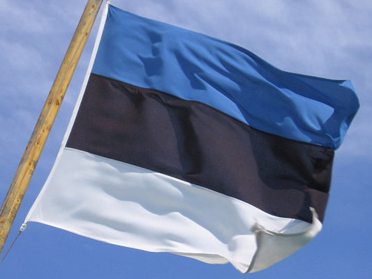 Эстония будет председательствовать в Совете Европы вместо Великобритании в 2017 году
