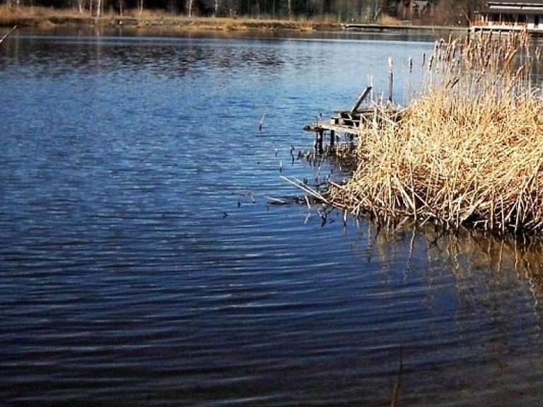 Украинцев попросили не рыбачить и не купаться в одном из притоков Днепра