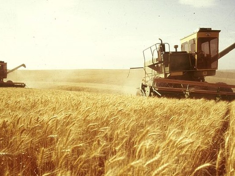 Аграрии Кировоградской области собрали первый миллион тонн зерна