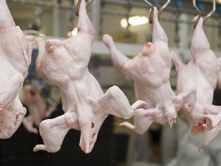 Саудовская Аравия ждет увеличения экспорта украинской курятины