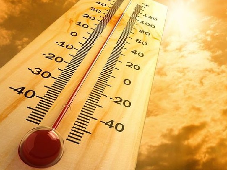 Во Всемирной метеорологической организации назвали причины аномальной жары