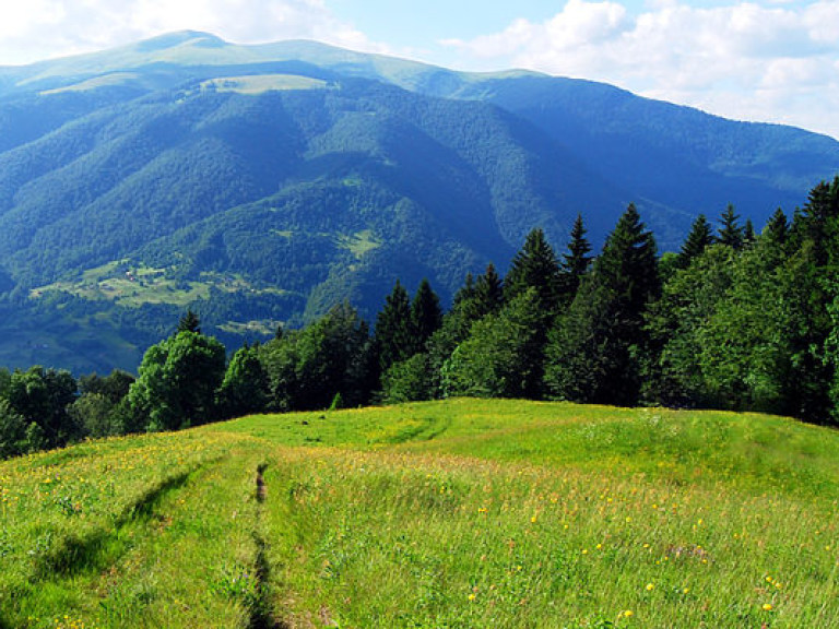 Синоптик: 29 июля на западе Украины немного похолодает