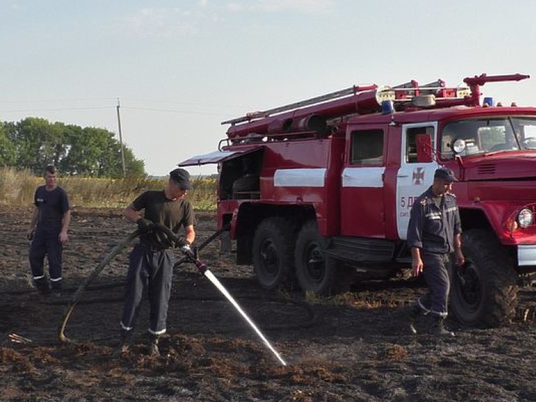 В Черниговской области продолжают гореть торфяники (ФОТО)