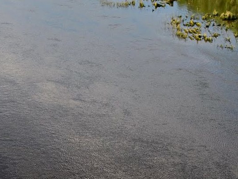 Специалисты зафиксировали загрязнение воды в столичной реке Коник