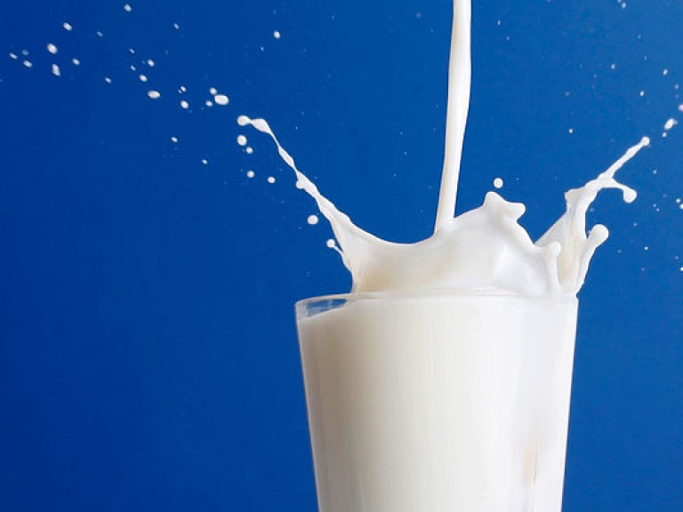 Производство молока в Украине стало убыточным, спад продолжится и в следующем году – эксперт