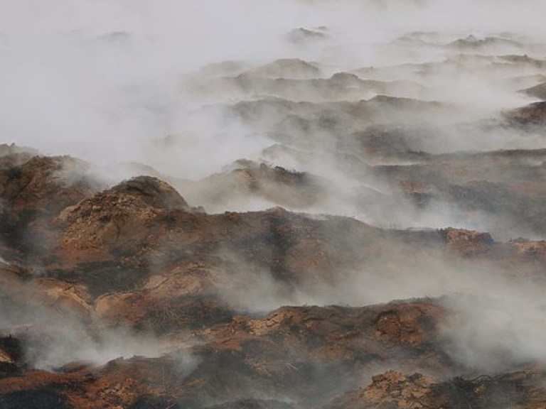 На Киевщине потушили горящие торфяники