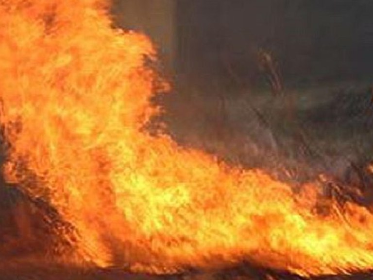 В Тернопольской области горели торфяники