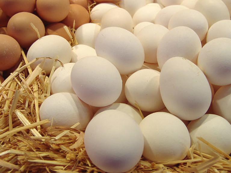 Сокращение производства яиц в Украине это следствие падения экспорта &#8212; эксперт