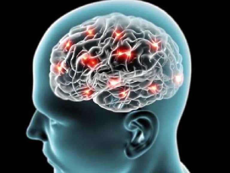 Для изучения работы мозга во время движения создана шляпа-томограф (ФОТО)