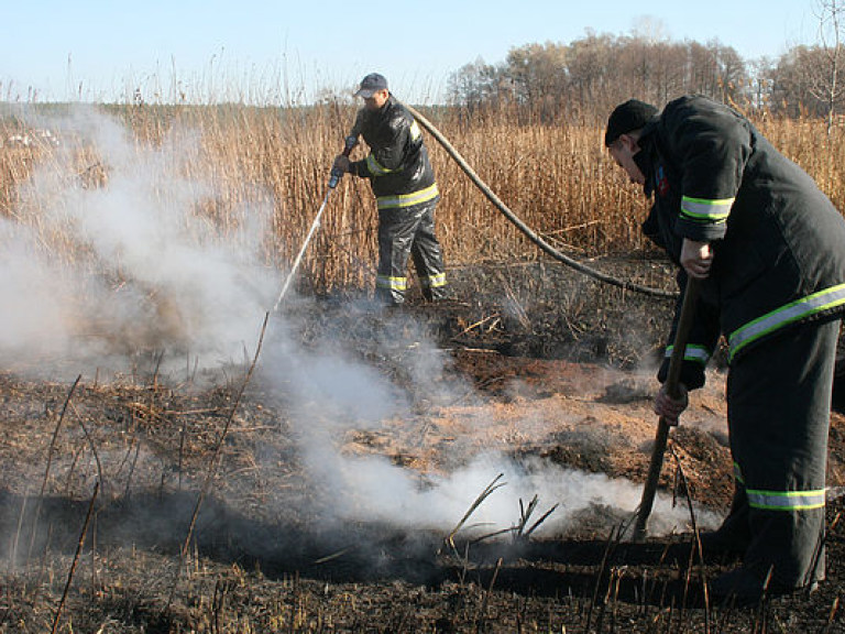 В Черниговской области продолжают гореть торфяники
