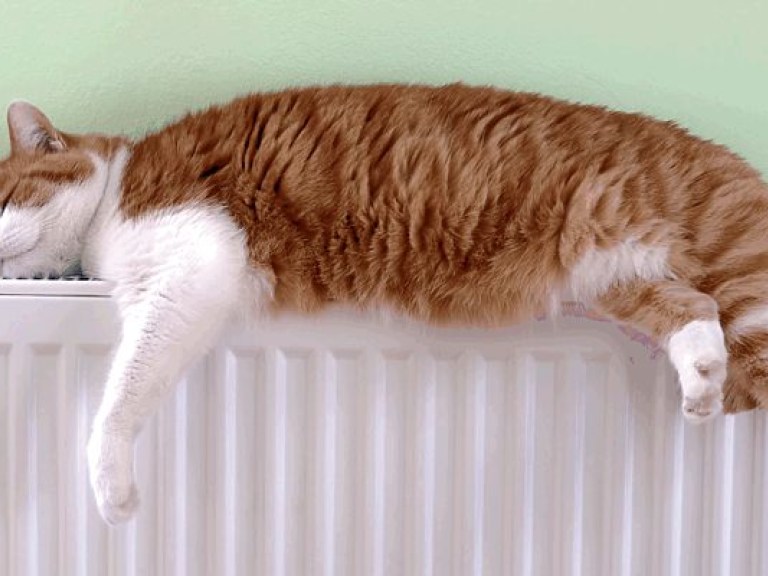 Эксперты озвучили методы снижения теплопотери в квартире