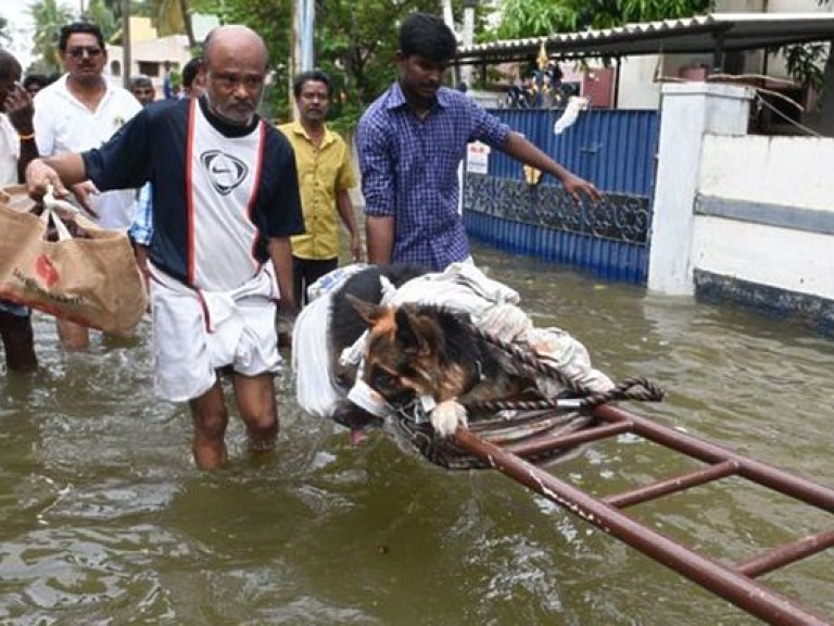 В Индии не менее 17 человек погибли в результате наводнения