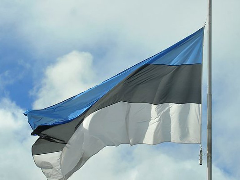 В Эстонии стартуют выборы президента