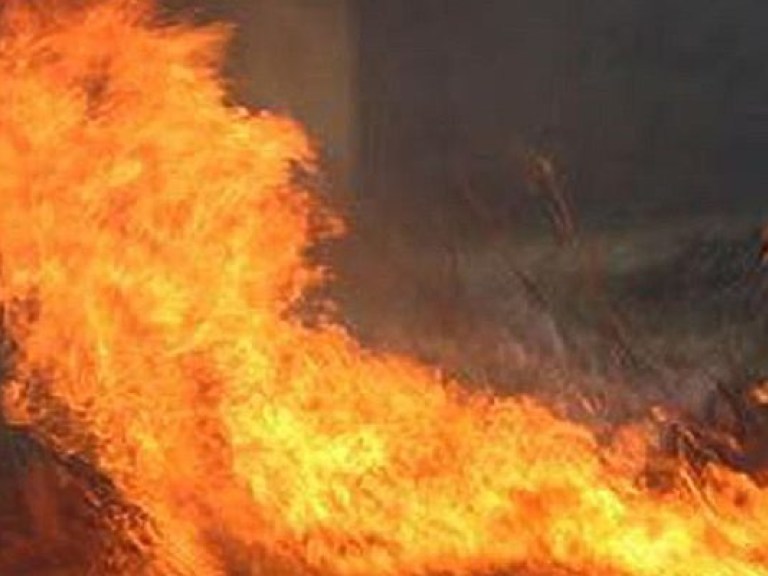 В Украине названы 12 наиболее пожароопасных областей