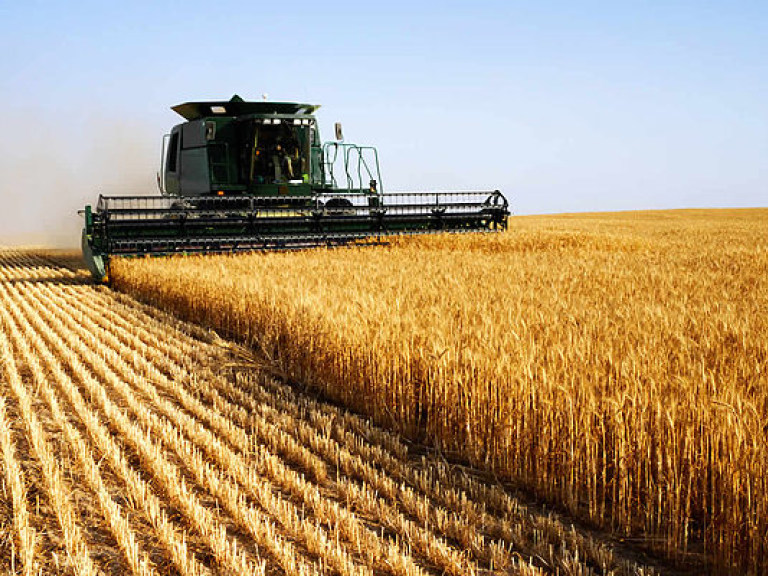 Мировые цены на пшеницу упали до рекордного минимума десятилетия