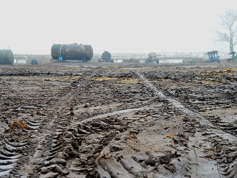 В Украине за год уничтожено 2000 фермерских хозяйств
