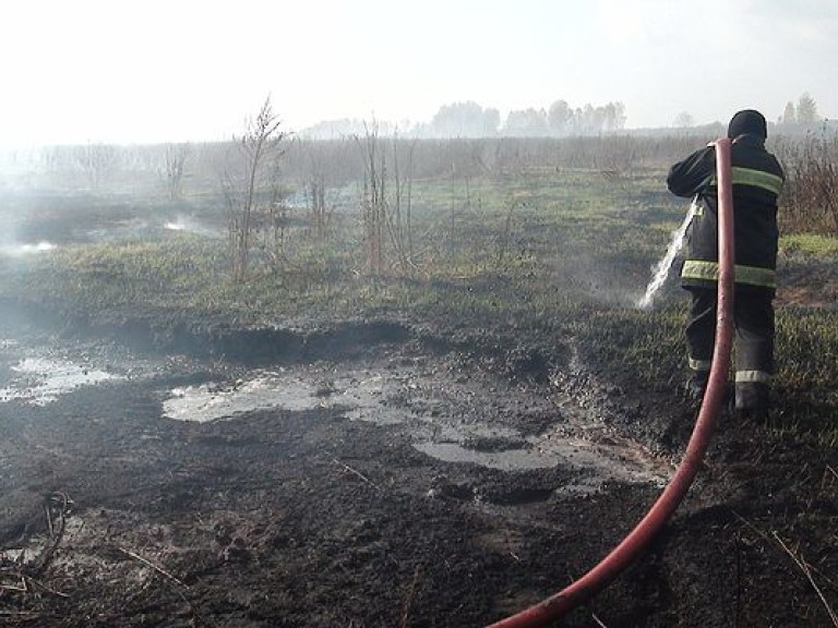 На Львовщине продолжают гасить пожар на торфянике (ФОТО)
