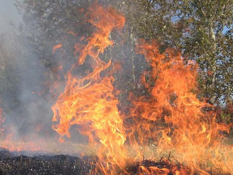 Синоптики заявили о высокой пожароопасности на Киевщине