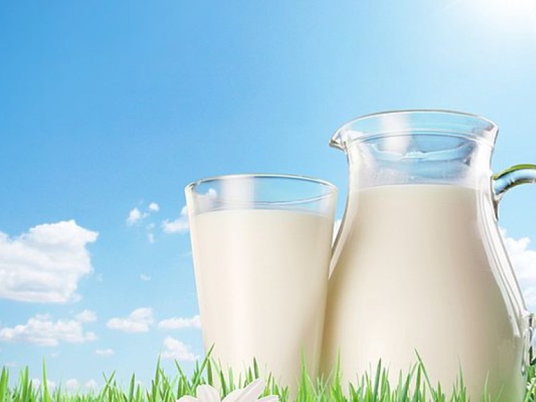 Молочные продукты осенью подорожают на 15-20%