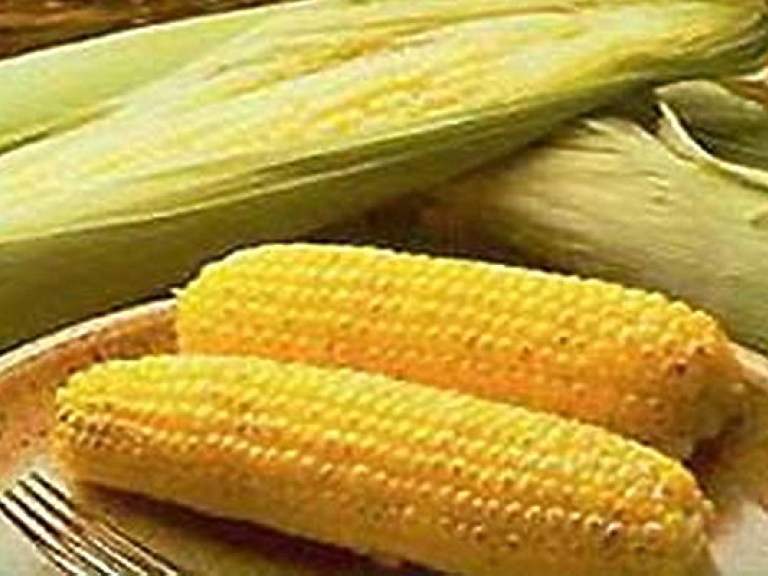 Цена экспорта украинской кукурузы в США будет зависеть от объема американского урожая &#8212; депутат
