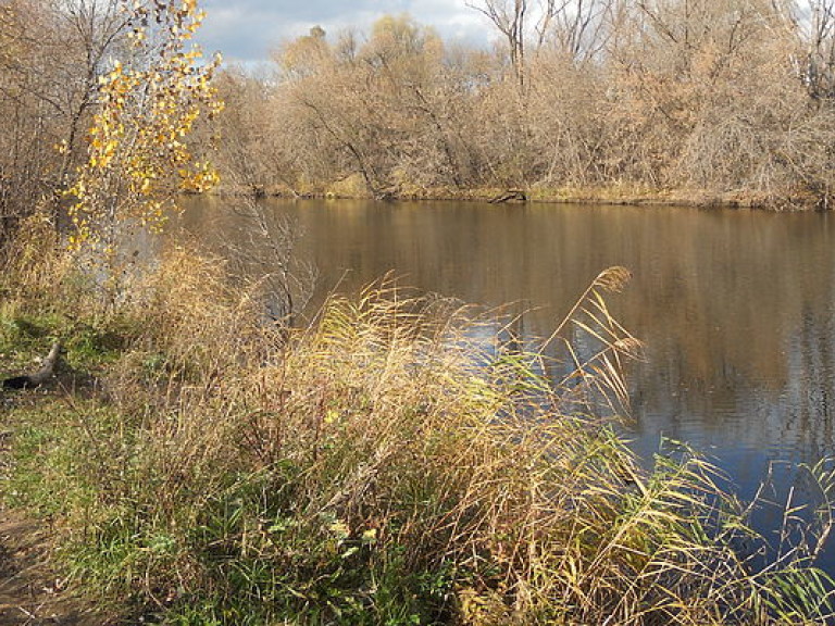 Погода на 15 сентября: В Украину идут заморозки